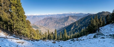Shimla's Best Kept Secret