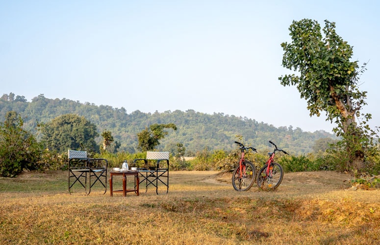 Cycling with Sundowner