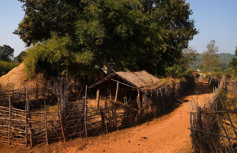 Local Village Exploration