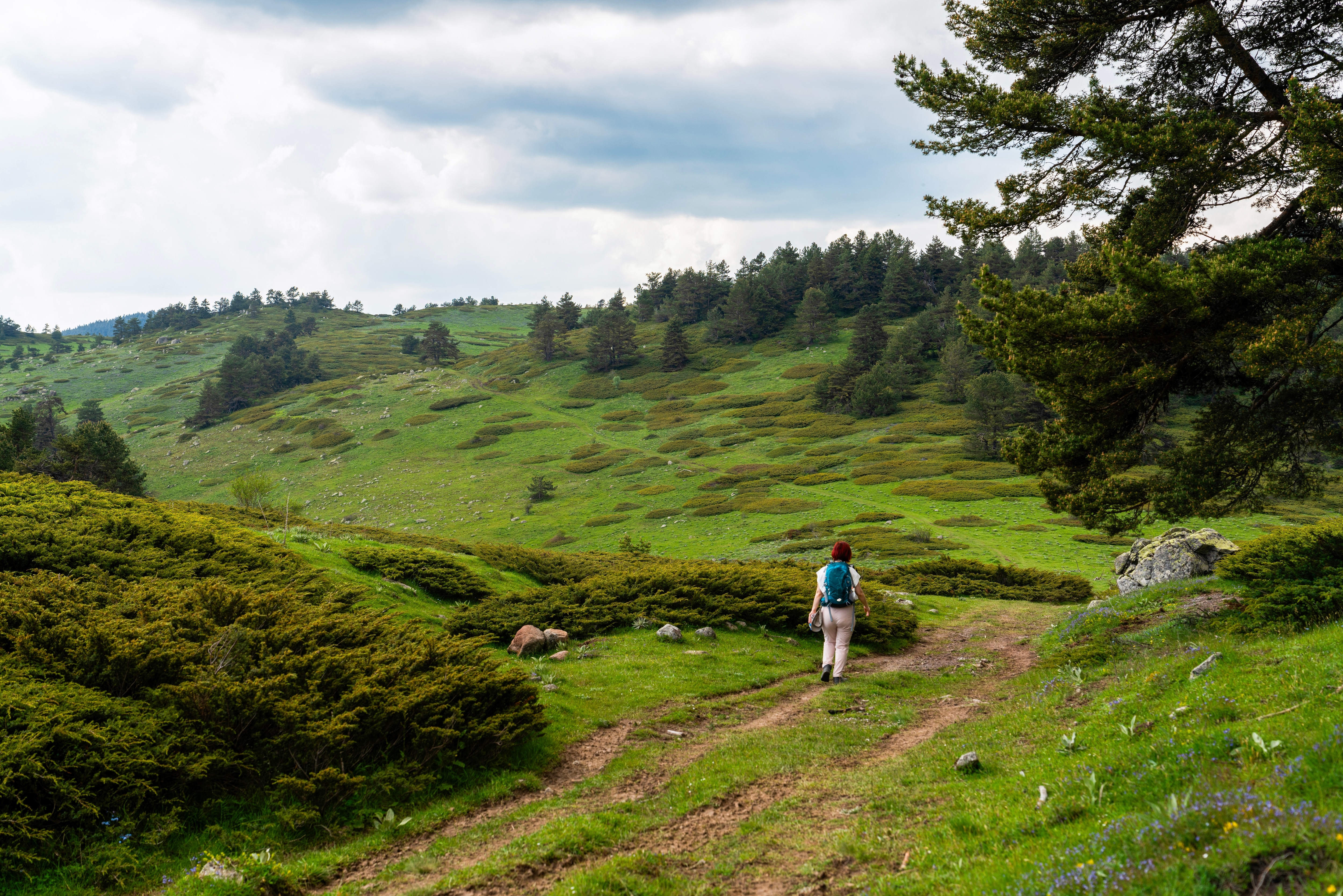 Guided Nature Treks & Walks