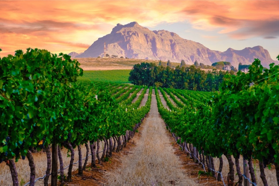 Witzenberg Top 106 Things to do in Cape Winelands