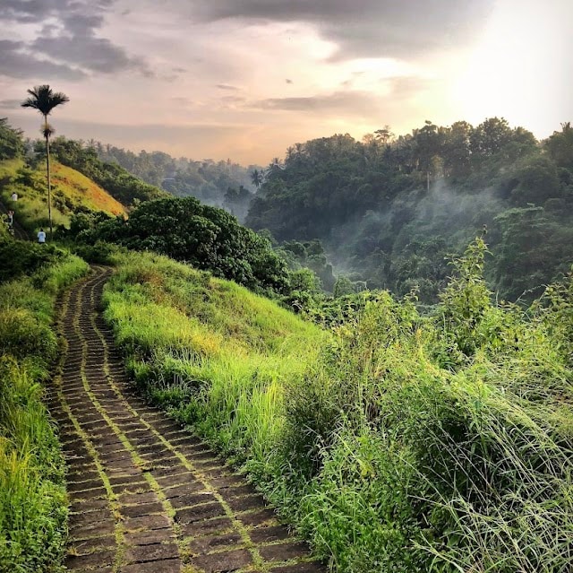 Campuhan_Ridge_Walk_Bali_1