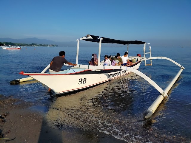 Dolphin_Watching_Activity_Bali_2