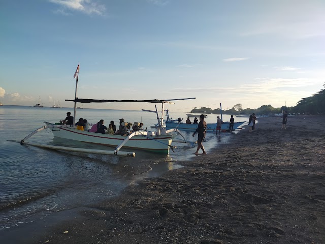 Dolphin_Watching_Activity_Bali_3