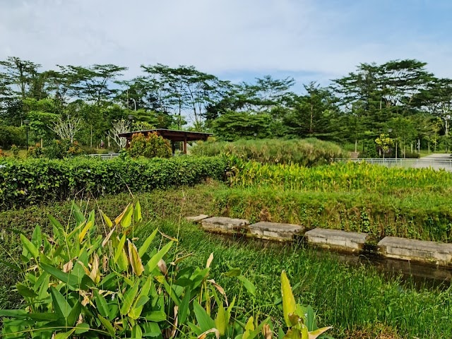 Green_Corridor_Singapore_1