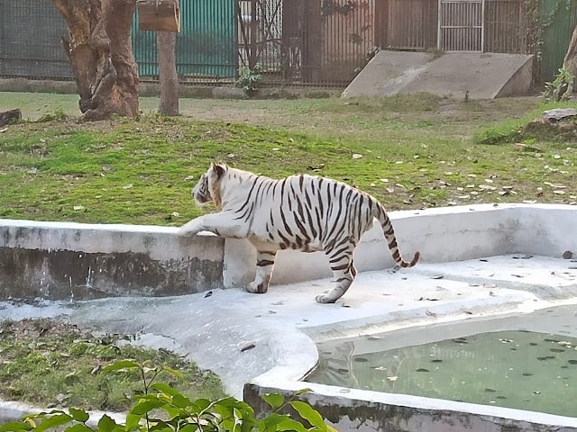 National_Zoological_Park_Delhi_1