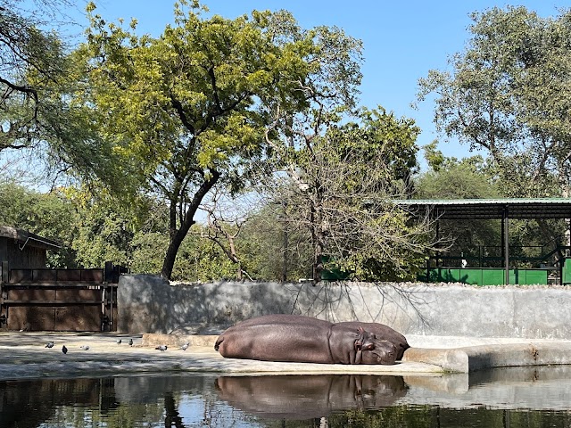 National_Zoological_Park_Delhi_2
