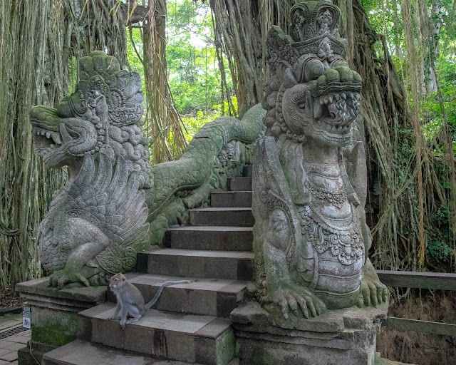 Sacred_Monkey_Forest_Sanctuary_Bali_4