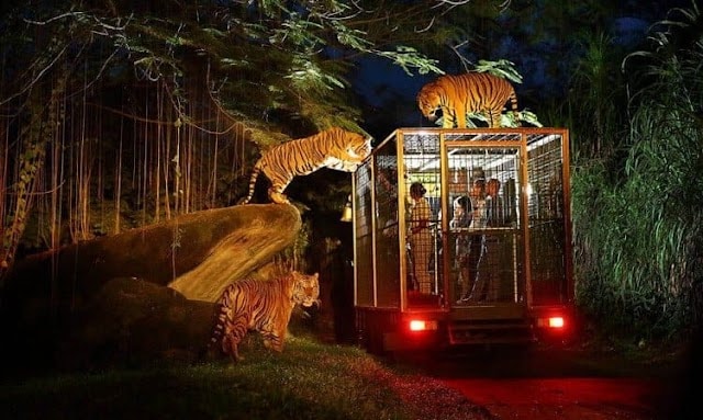 Safari_Marine_Park_Bali_4