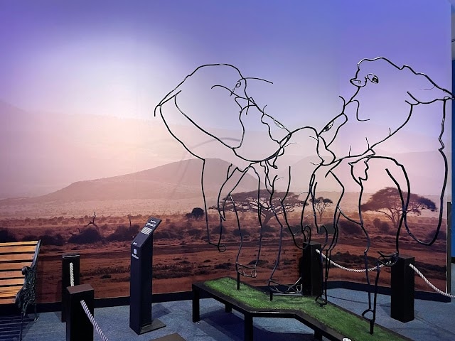 Science_Centre_Singapore_Bali_4