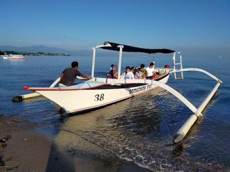 Dolphin_Watching_Activity_Bali_2