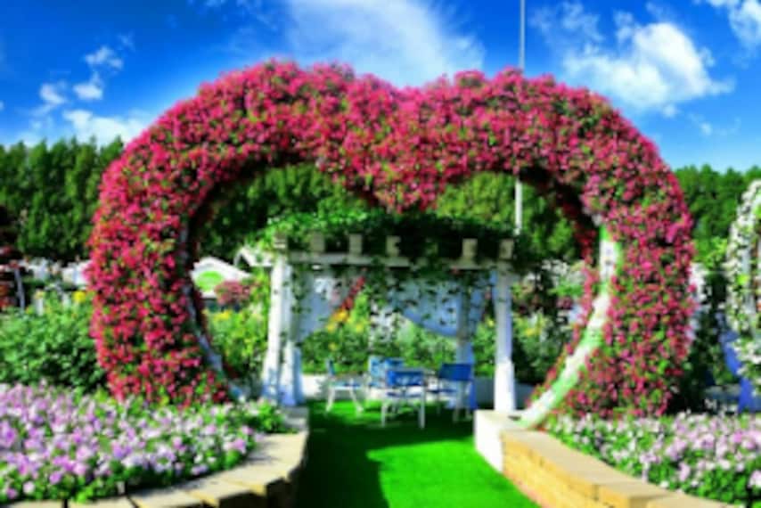 Dubai_Miracle_Garden_2