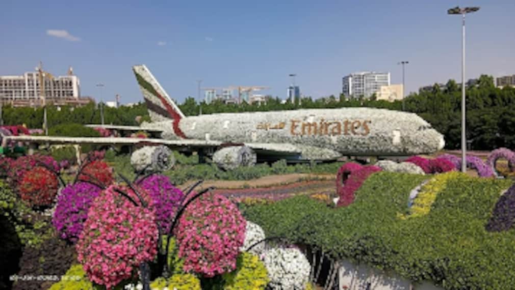 Dubai_Miracle_Garden_3