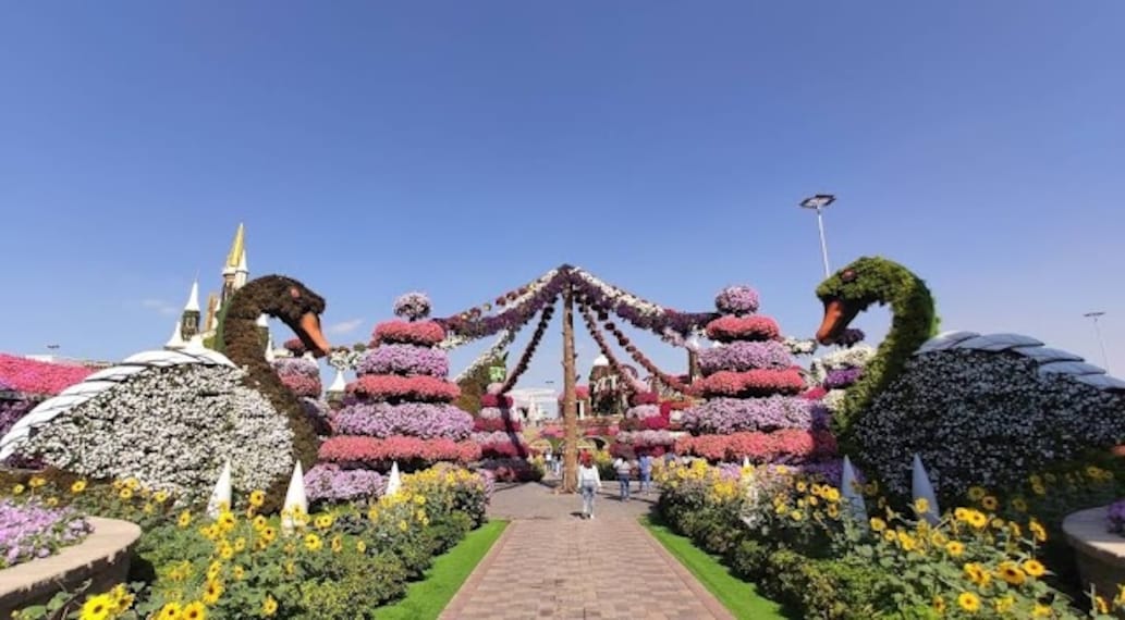 Dubai_Miracle_Garden_4