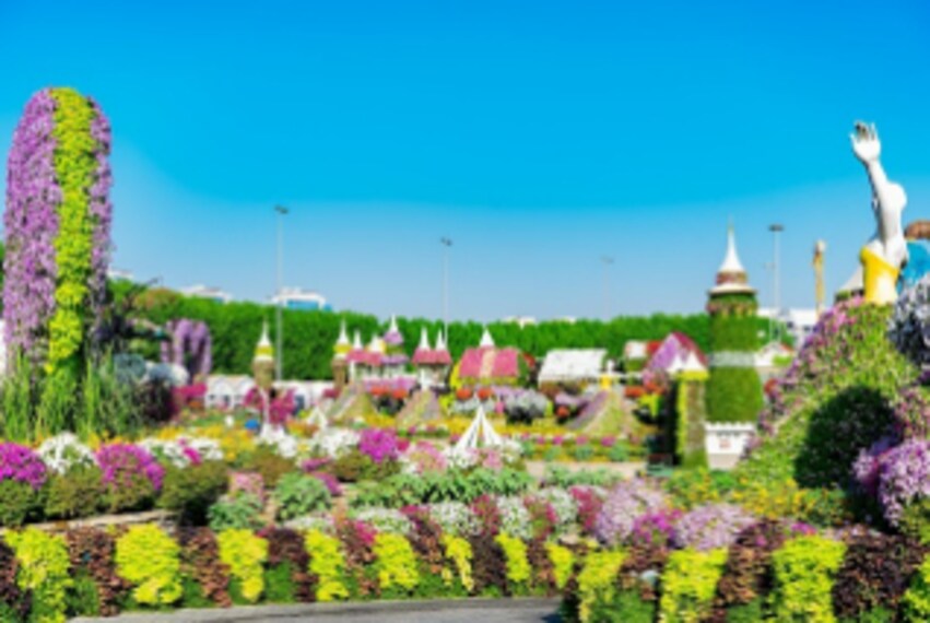Dubai_Miracle_Garden_5