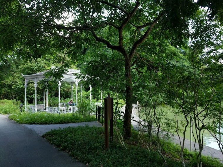 Swan_Lake_Singapore_4