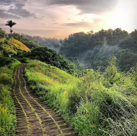 Campuhan Ridge Walk