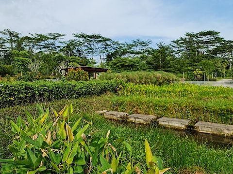 Green Corridor
