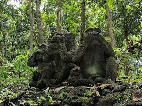 Sacred Monkey Forest Sanctuary