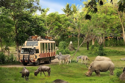 Bali Safari Marine Park