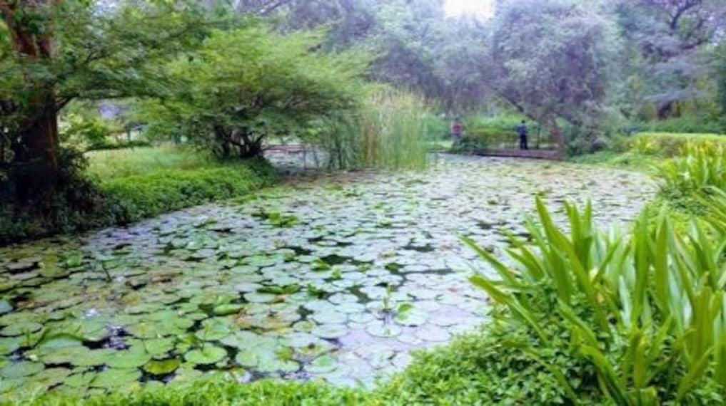 Ahmedabad Victoria Garden Landscape Image