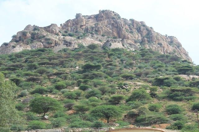 Gooty_fort_3