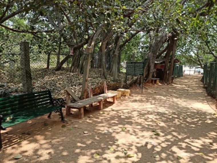 Thimmamma_marrimanu_3