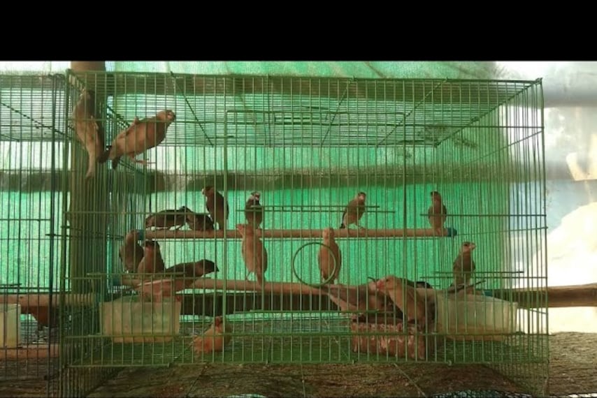 satabdi_park_asansol_5