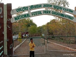 Fossil National Park