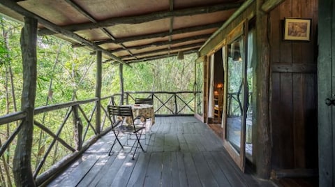 Tree House Hideaway