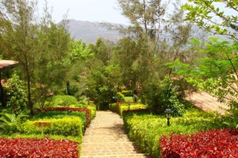 Anandvan Resort