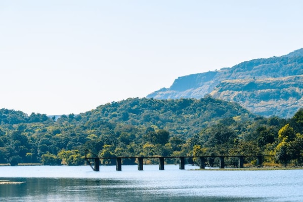 Bhandardara