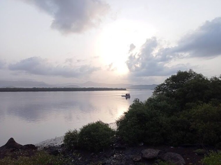 Vasai_creek_1