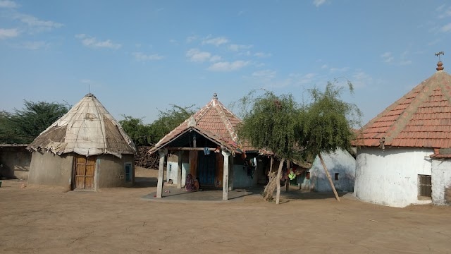 banni_grassland_reserve_bhuj_2