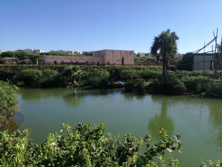 Casablanca_Parc_Murdoch_5