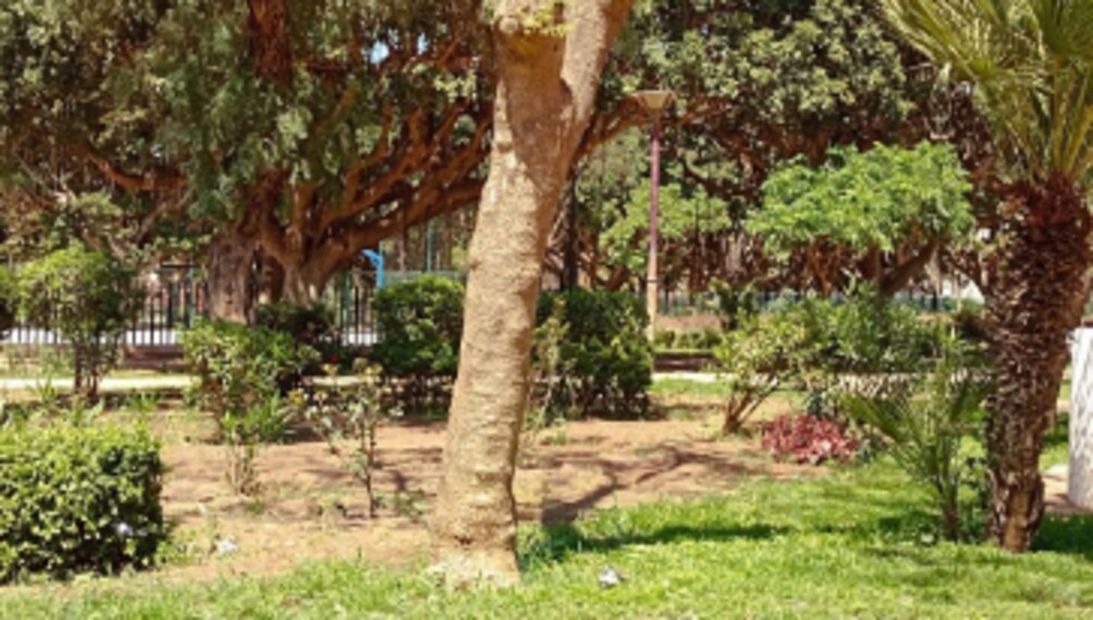 Casablanca_Parc_Murdoch_6