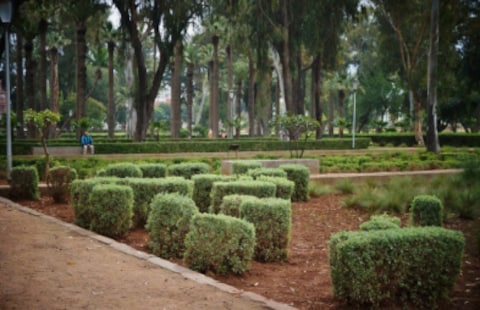 Hermitage Garden
