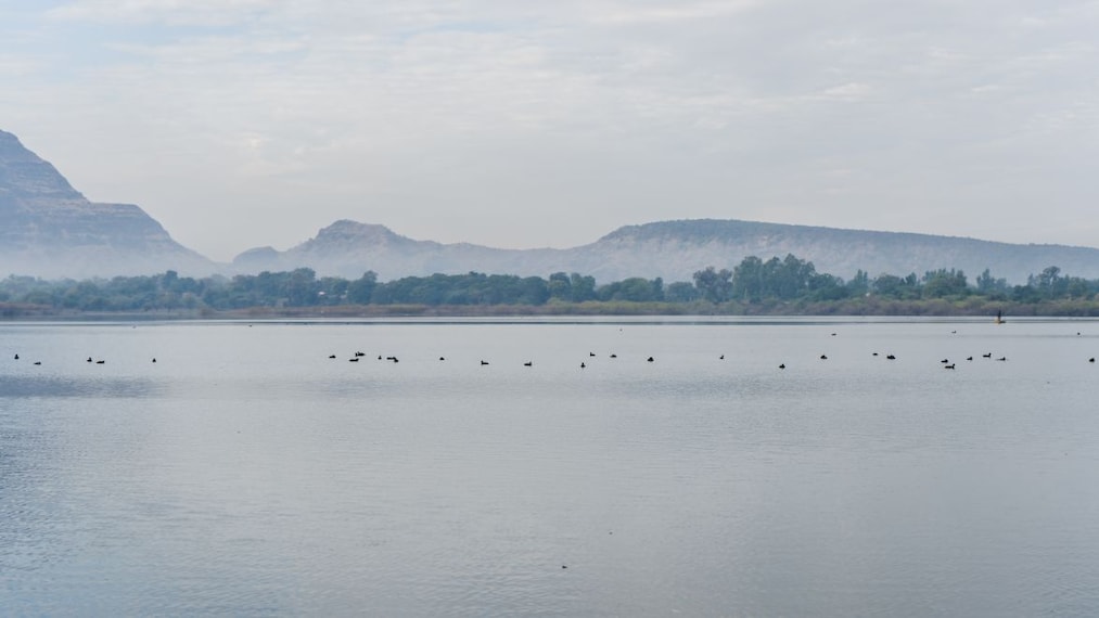 champaner_pavagadh_hill