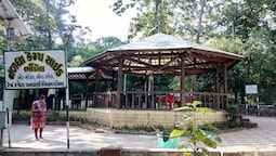 Ratnamahal Sloth Bear Sanctuary