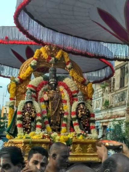 Chennai Parthasarathyswamy Temple Portrait Image