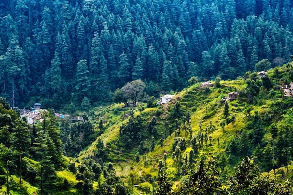 Almora_destination_image_2025jan_4