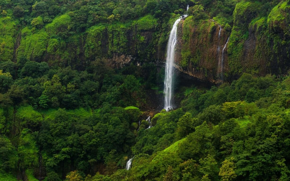 Amboli