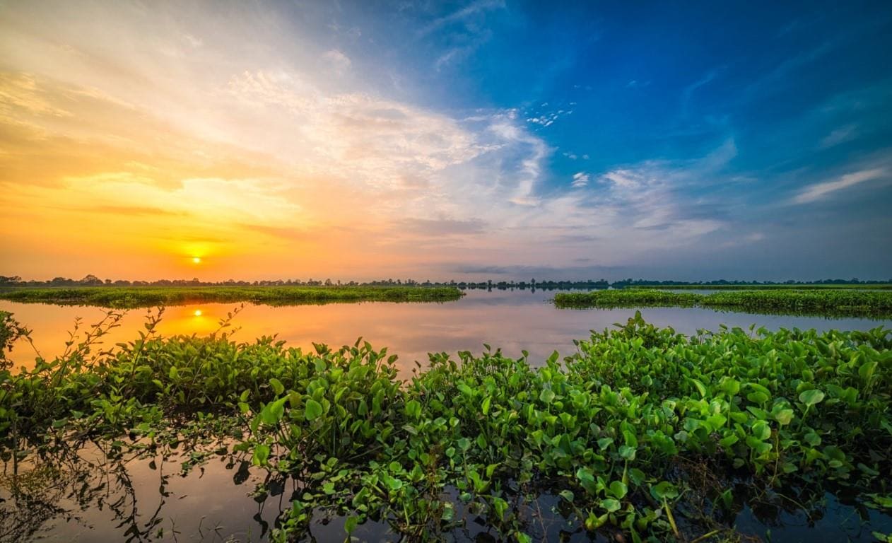 Places to Visit in Jorhat