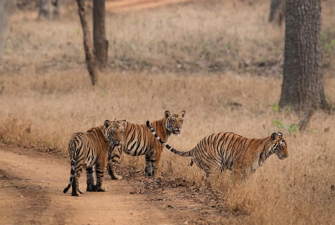 Popular and Trending Places in Nagarhole