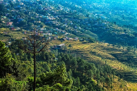 Image from popular destination Almora - Cultural Heart Of Kumaon