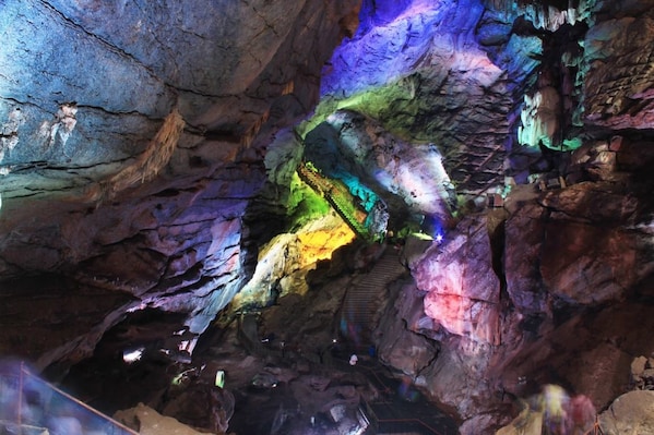 Ananthagiri_Hills_Telangana_destination_image_2025jan_2