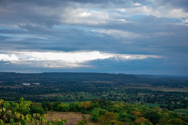 Ananthagiri_Hills_Telangana_destination_image_2025jan_3