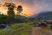 Dooars_destiantion_image2025_2