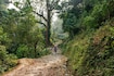 Dooars_destiantion_image2025_3