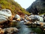 Dooars_destiantion_image2025_4